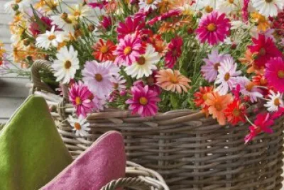 flores