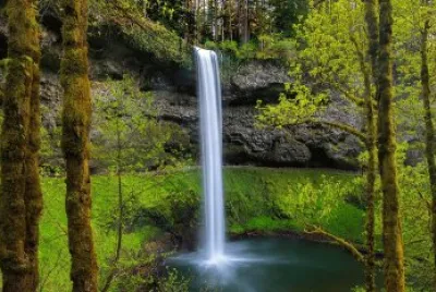 Nature