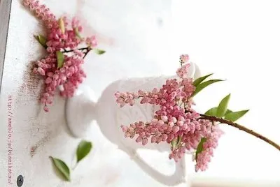 flores