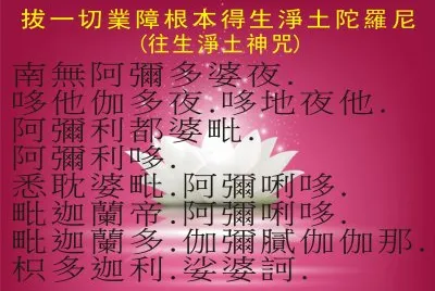 ä½›æ•™æ–‡åŒ–