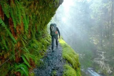 Nature jigsaw puzzle
