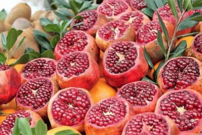 frutas jigsaw puzzle