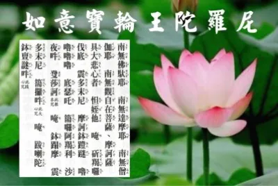 å¦‚æ„å¯¶è¼ªçŽ‹é™€ç¾…å°¼ jigsaw puzzle