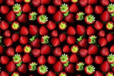 frutas jigsaw puzzle