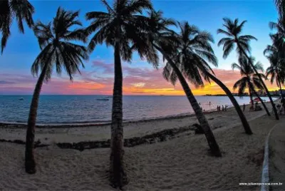 natural jigsaw puzzle