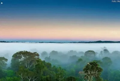 natural jigsaw puzzle