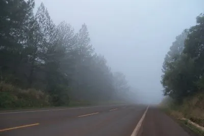 Neblina