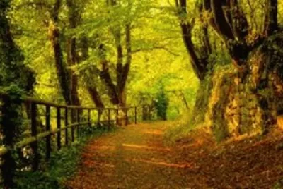 Nature jigsaw puzzle