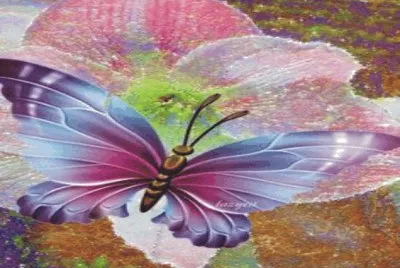 Butterfly
