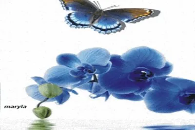 Butterfly jigsaw puzzle