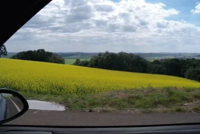 vista do carro
