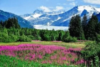 Nature jigsaw puzzle
