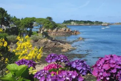 mer et fleurs jigsaw puzzle