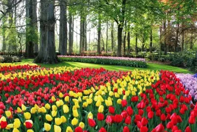 Nature