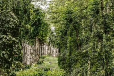 Imagem jigsaw puzzle
