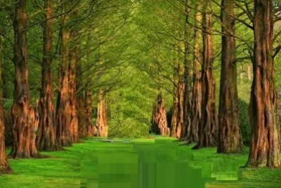 Imagem jigsaw puzzle