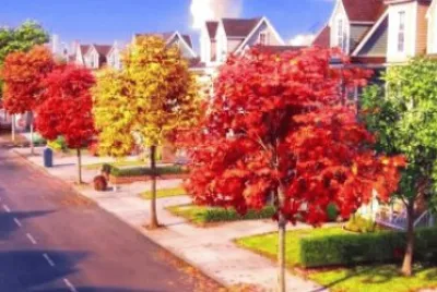 Imagem jigsaw puzzle