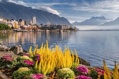 Imagem jigsaw puzzle