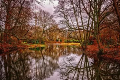 Imagem jigsaw puzzle