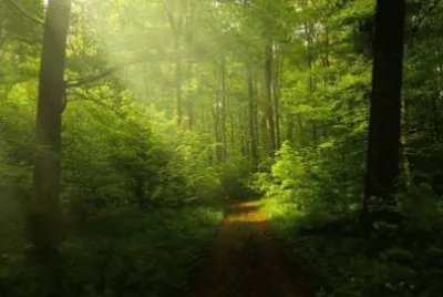 Imagem jigsaw puzzle