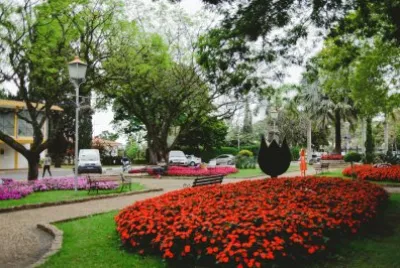 Imagem jigsaw puzzle