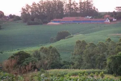 campo de soja