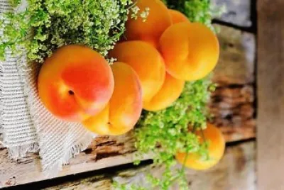 frutas jigsaw puzzle