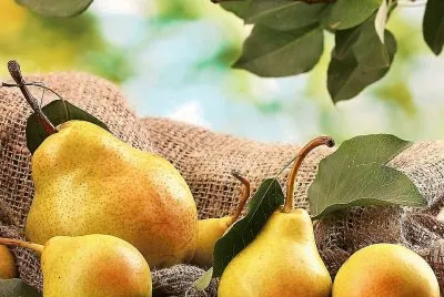 frutas jigsaw puzzle