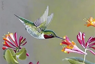 natural jigsaw puzzle