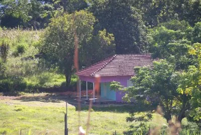 casa entre Ã¡rvores