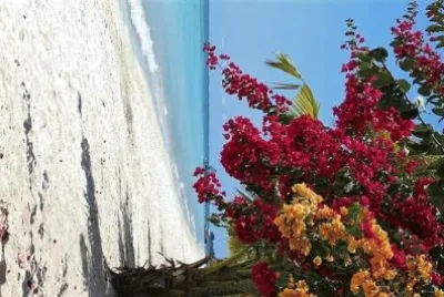 flores jigsaw puzzle
