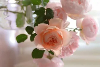 flores jigsaw puzzle