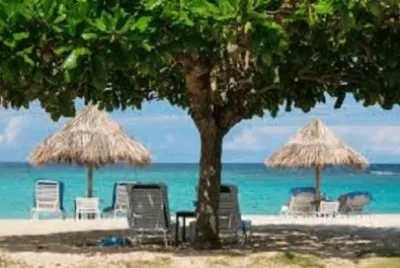 Foto jigsaw puzzle