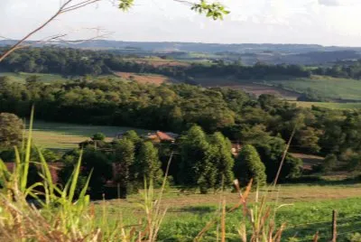 colÃ´nia