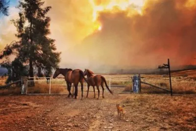 Bushfire at Cookamidgera jigsaw puzzle