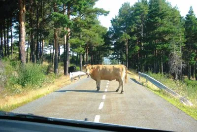 en la carretera jigsaw puzzle