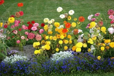 flores