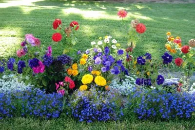 flores