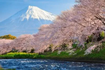 imagem jigsaw puzzle