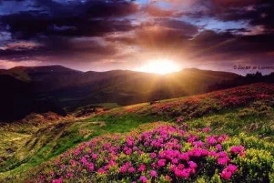 imagem jigsaw puzzle