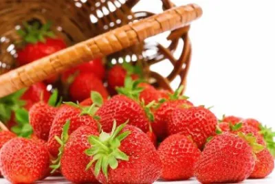 frutas jigsaw puzzle