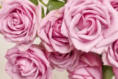 flores jigsaw puzzle