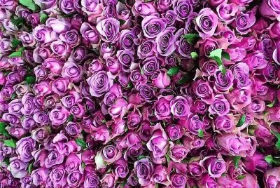 flores jigsaw puzzle