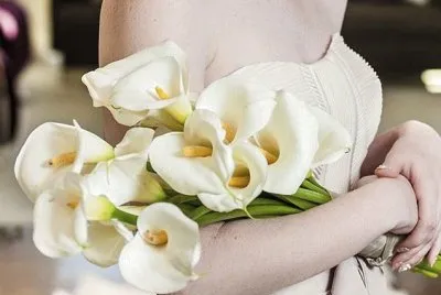 פאזל של delicadeza