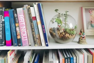 פאזל של delicadeza