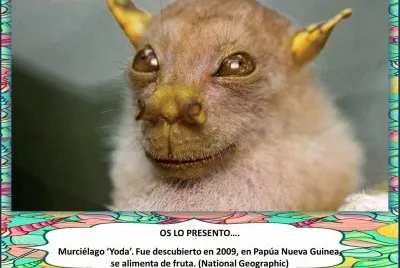 OS LO PRESENTOâ€¦.