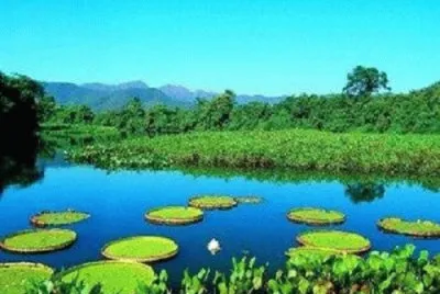 Nature