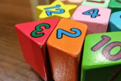 Toy