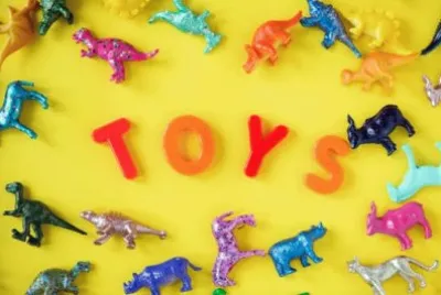 Toy