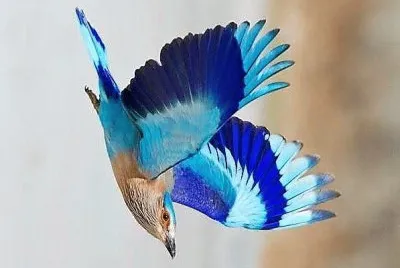 natural